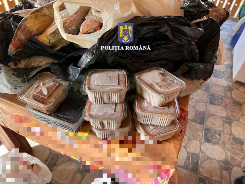sute de sanctiuni aplicate de politistii de la transporturi in ultima saptamana ce nereguli au fost constatate sute de sanctiuni aplicate de politistii de la transporturi in ultima saptamana ce nereguli au fost constatate