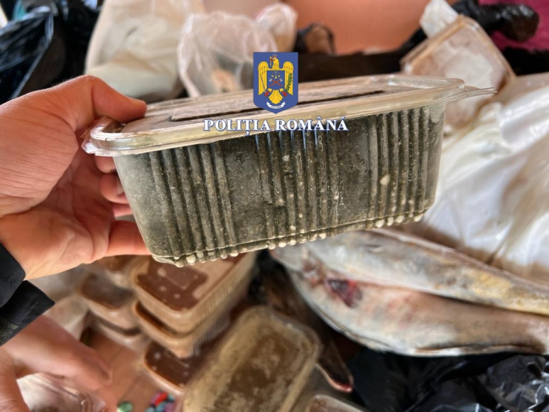 sute de sanctiuni aplicate de politistii de la transporturi in ultima saptamana ce nereguli au fost constatate sute de sanctiuni aplicate de politistii de la transporturi in ultima saptamana ce nereguli au fost constatate