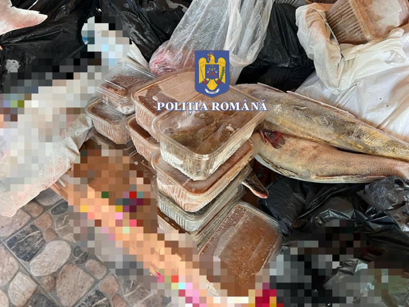 sute de sanctiuni aplicate de politistii de la transporturi in ultima saptamana ce nereguli au fost constatate sute de sanctiuni aplicate de politistii de la transporturi in ultima saptamana ce nereguli au fost constatate