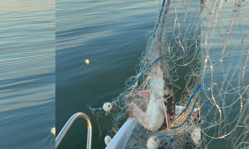 Sursa foto: Garda de Coastă