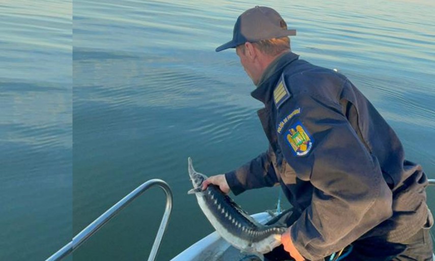 Sursa galeriei foto: Garda de Coastă