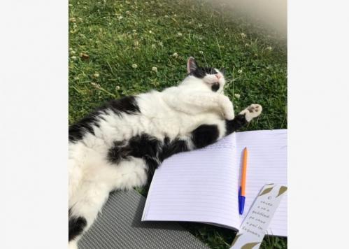 #ConstanțaEsteBine O duminică de început de iulie și cu o zi înainte de luna plină