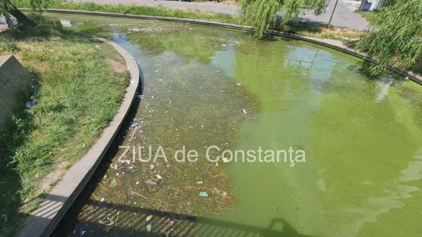 peisaj dezolant la inceput de sezon estival in constanta canalul care face legatura dintre lacul tabacariei