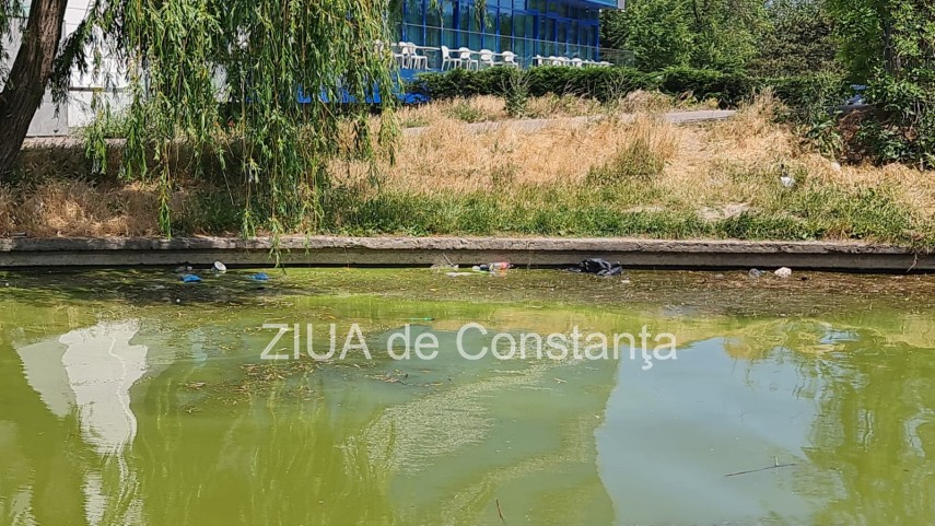 peisaj dezolant la inceput de sezon estival in constanta canalul care face legatura dintre lacul tabacariei