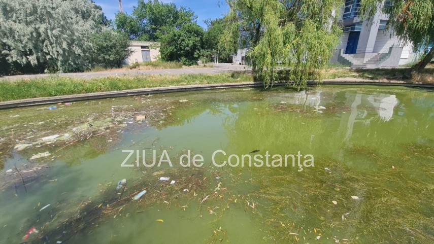 peisaj dezolant la inceput de sezon estival in constanta canalul care face legatura dintre lacul tabacariei