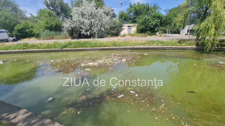peisaj dezolant la inceput de sezon estival in constanta canalul care face legatura dintre lacul tabacariei