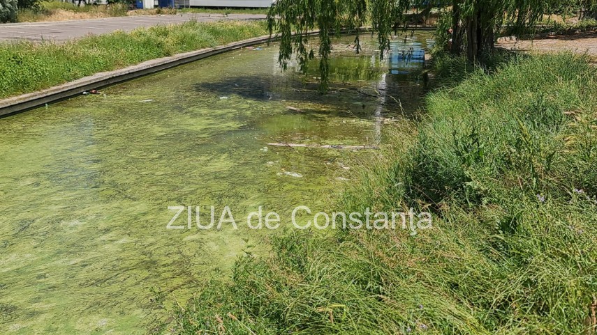 peisaj dezolant la inceput de sezon estival in constanta canalul care face legatura dintre lacul tabacariei