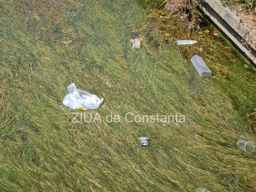 peisaj dezolant la inceput de sezon estival in constanta canalul care face legatura dintre lacul tabacariei