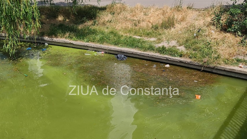 peisaj dezolant la inceput de sezon estival in constanta canalul care face legatura dintre lacul tabacariei