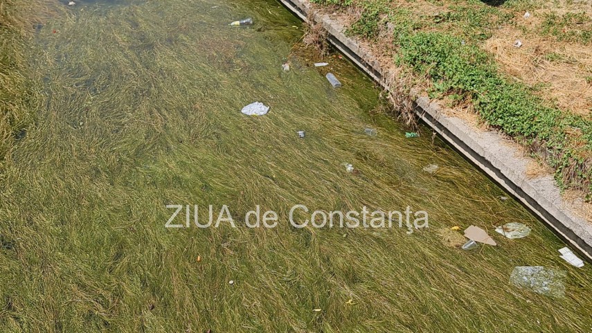peisaj dezolant la inceput de sezon estival in constanta canalul care face legatura dintre lacul tabacariei