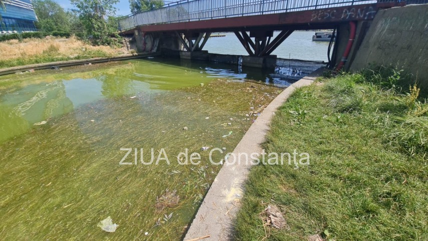 peisaj dezolant la inceput de sezon estival in constanta canalul care face legatura dintre lacul tabacariei