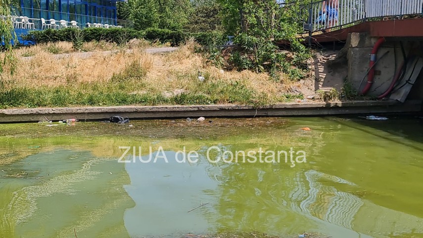 peisaj dezolant la inceput de sezon estival in constanta canalul care face legatura dintre lacul tabacariei