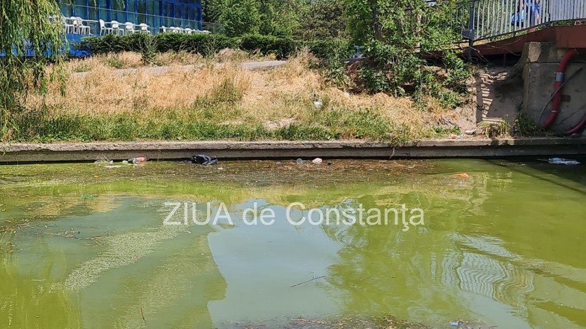 peisaj dezolant la inceput de sezon estival in constanta canalul care face legatura dintre lacul tabacariei