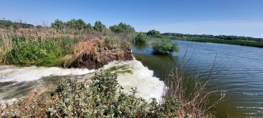 Sursa foto: ISU Delta Tulcea