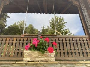 #ConstanțaEsteBine Am ajuns cu bine în zilele de week-end, în care putem să încetinim ritmul rapid al săptămânii 