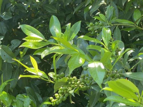 #ConstanțaEsteBine 11.06.2023. S-a bucurat corpul vostru de atenția pe care i-ați acordat-o în cursul zilei de ieri?