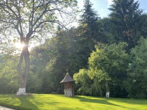 #ConstanțaEsteBine 15 iunie 2023 Bine v-am regăsit la mijlocul lunii iunie, puțin înainte de luna nouă în Gemeni