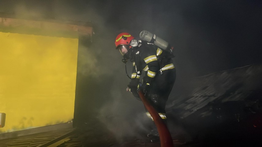 Sursa galeriei foto: ISU Dobrogea