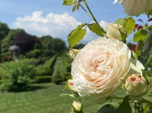 #ConstanțaEsteBine 26 iunie 2023. Început de săptămână, primul pătrat al lunii, începe creșterea către luna plină de pe 3 iulie 