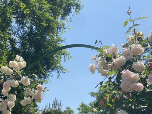 #ConstanțaEsteBine 30 iunie 2023. Ultima zi a lunii iunie. Planeta Mercur a intrat în zodia Racului