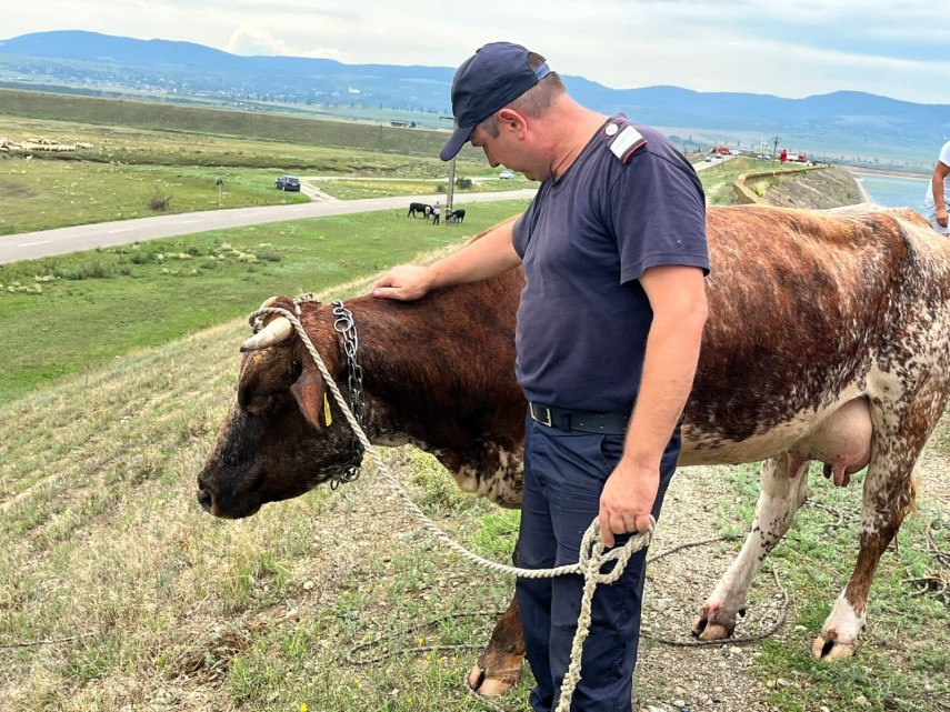 Sursa foto: ISU Bacău