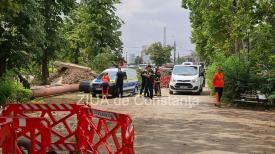 UPDATE Descoperire macabră în zona Parcului de la Gara CFR Constanța. O persoană, găsită decedată (GALERIE FOTO+VIDEO)            