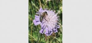 #ConstanțaEsteBine 3 iulie 2023 Luna plină în Capricorn, în plin tranzit al Racului (pentru Soare și Mercur)