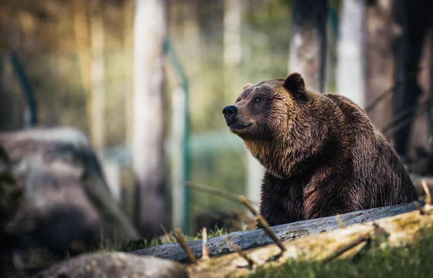 Foto cu rol ilustrativ. Sursă foto: pexels.com