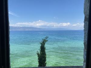 #ConstanțaEsteBine 5 august 2023. Ați observat cum apar în viață situații și circumstanțe în care sunteți nevoit să abandonați credințe, obiceiuri sau acțiuni?