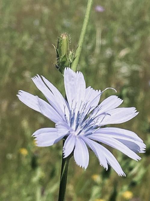 #ConstanțaEsteBine 6 iulie 2023. Mijlocul unei săptămâni interesante, schimbătoare, turbionare și super-rapide pe reacții