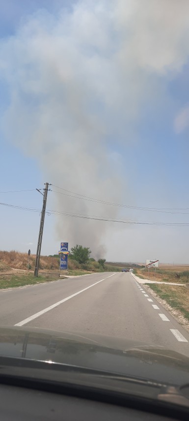 zeci de hectare de grau si miriste mistuite de flacari la medgidia galerie foto video 819786