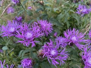 #ConstanțaEsteBine 7 iulie 2023 Înaintăm în plin tranzit al Racului și ne confruntăm cu tot ce este în interiorul minții noastre