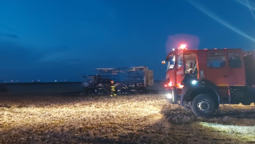 judetul constanta camion cu stupi si un lan de grau mistuite de flacari in apropierea localitatii independenta