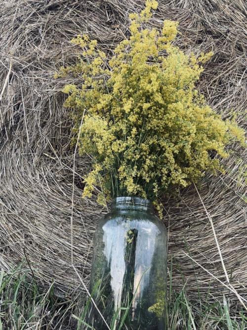 #ConstanțaEsteBine 14 iulie 2023. Ne apropiem de luna nouă și eliminările se intensifică