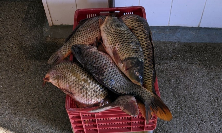 Sursă foto: Garda de coastă