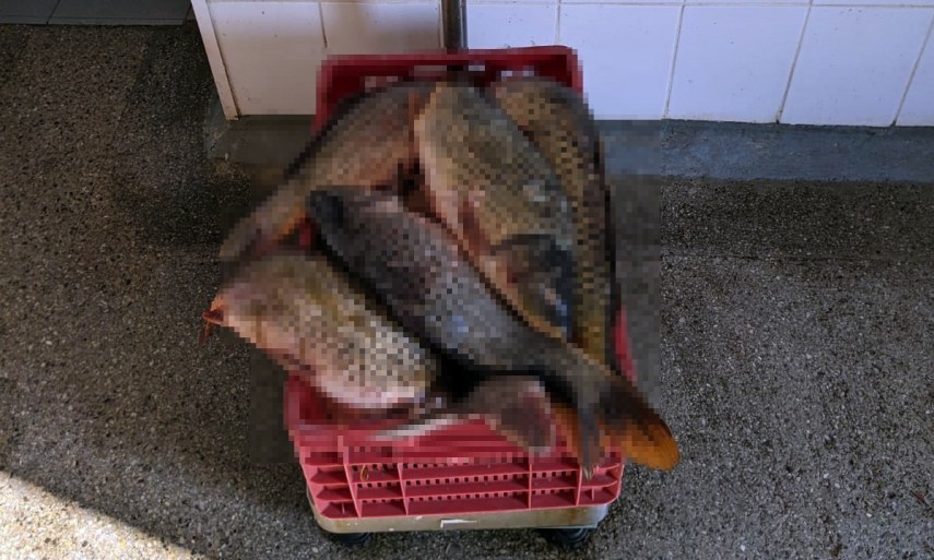 Captura de 45 de kilograme de peste: Un barbat din judetul Tulcea, prins la braconaj piscicol pe lacul Babadag! 