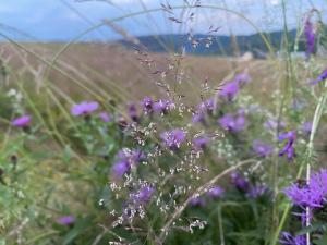 #ConstanțaEsteBine O zi de paradoxuri, intensificată de energia Racului, profundă și răscolitoare