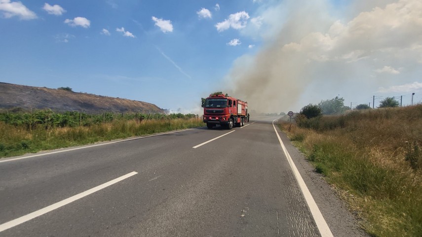 Foto: ISU Dobrogea