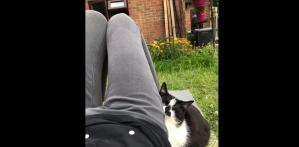 #ConstanțaEsteBine 19 iulie 2023 Bine v-am regăsit, la mijlocul acestei săptămâni de vară