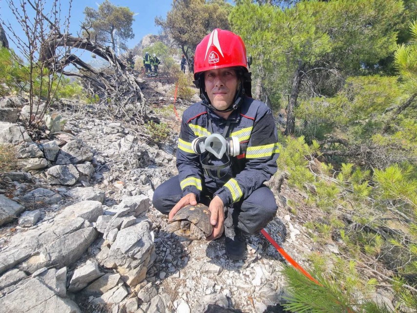 Pompier român în Attica de Vest, Grecia. Sursă foto: IGSU