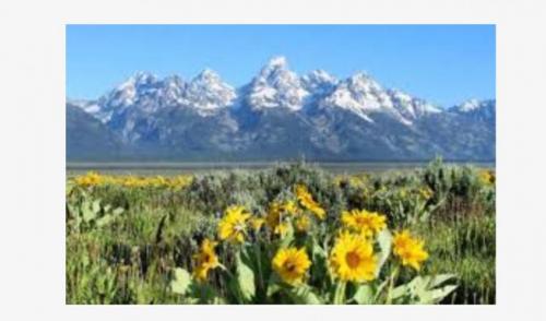 #ConstanțaEsteBine 22 iulie 2023. Un week-end cu energie numai bună pentru înțelegeri profunde.