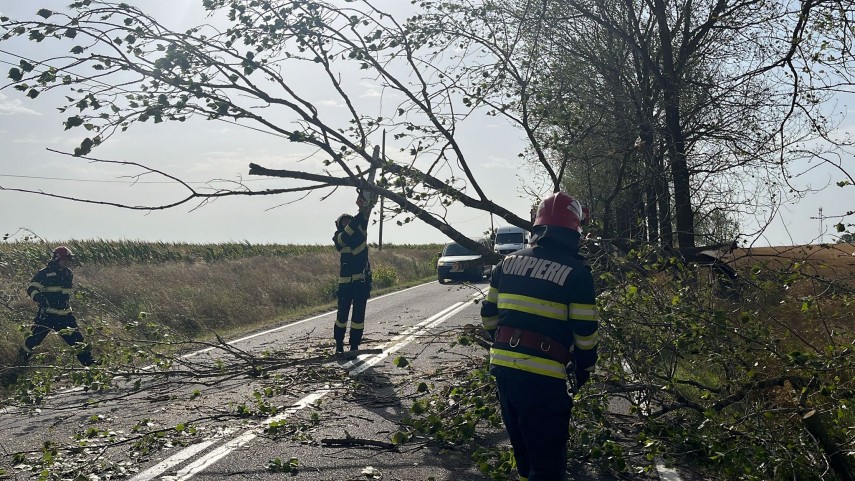 Foto: ISU Tulcea