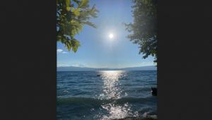 #ConstanțaEsteBine 2 august 2023 În plin portal al leului, cu energia focului la maxim