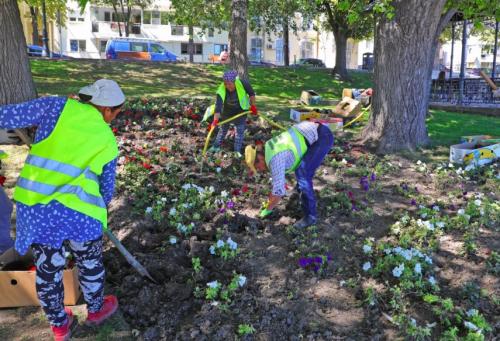 Știri Constanța Faleza Cazino, pregătită pentru cetățeni cu ocazia Zilei Marinei (GALERIE FOTO)