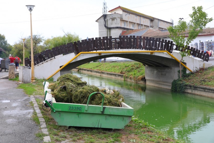 Sursă foto: Primăria Constanța