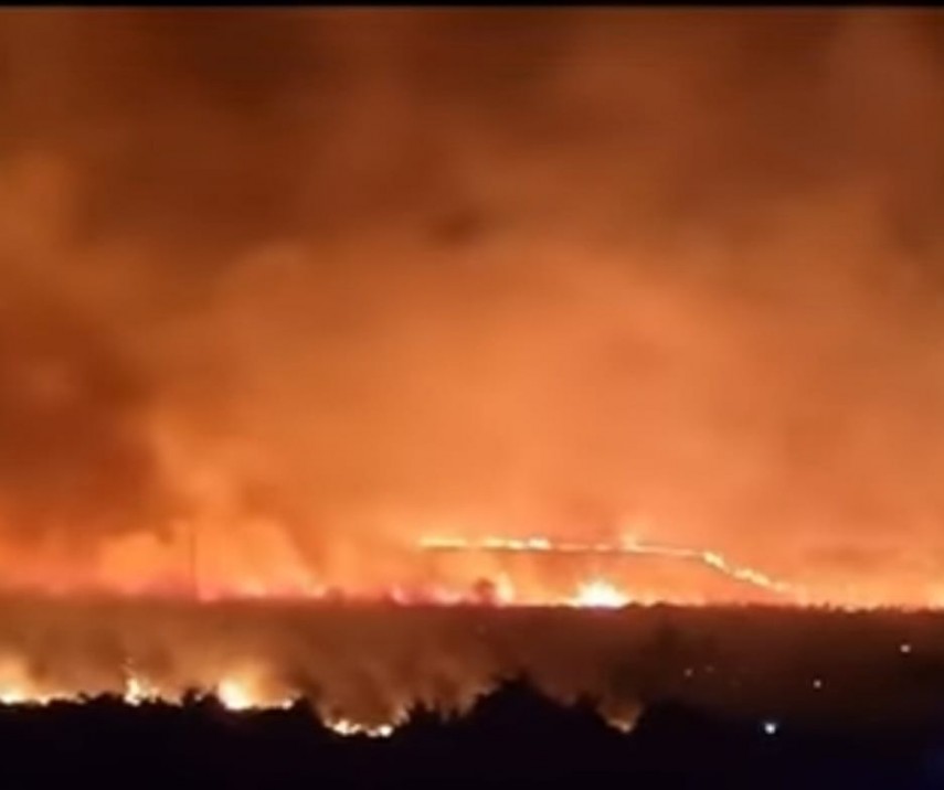 Sursă foto: Garda de Mediu