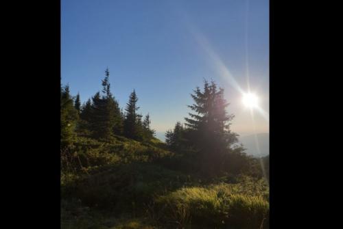 #ConstanțaEsteBine 13 august 2023. Zi feminină, cu vibrație provocatoare și contradictorie, dar și plină de oportunități