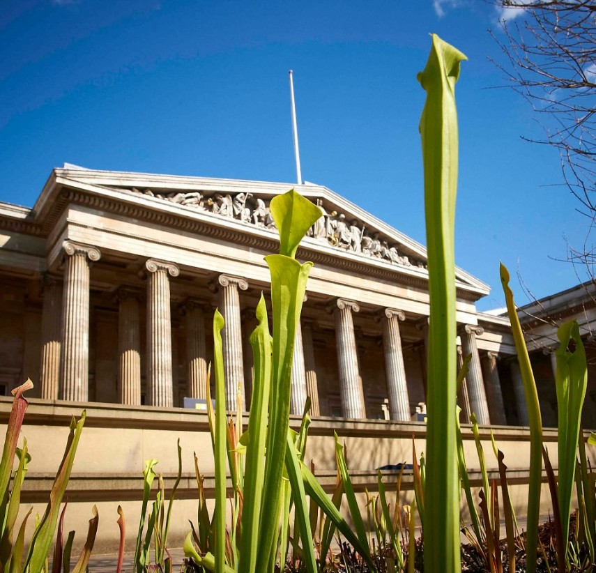 British Museum. Sursă foto: Facebook/ The British Museum 