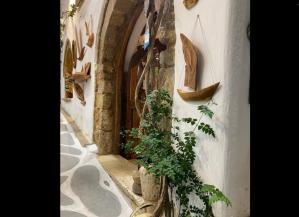 #ConstanțaEsteBine 23 august 2023 Înfruntări și confruntări. Lupte interioare. Arșiță exterioară