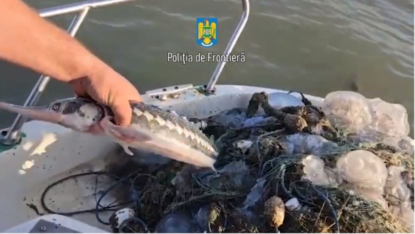 Sursă foto: Garda de Mediu